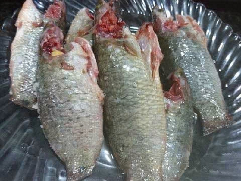 cá rô nướng ảnh 2