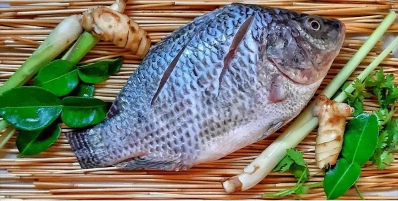 Cá rô phi om dưa 7