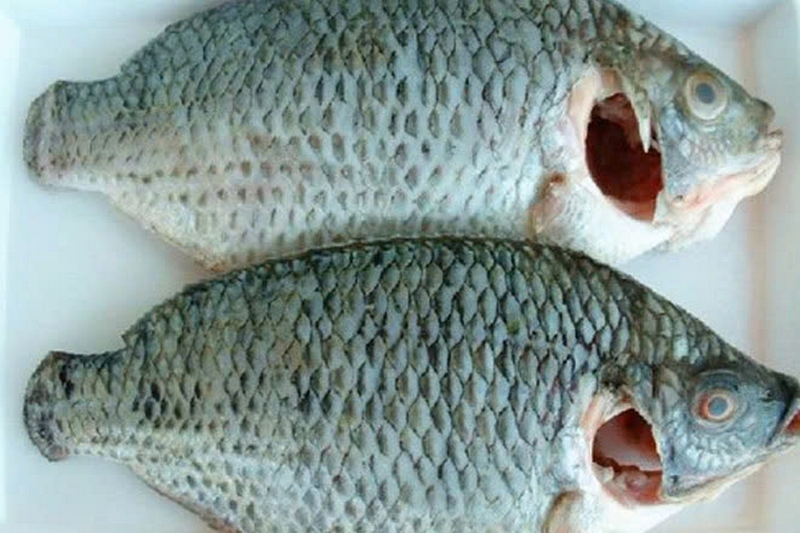 cá rô phi sốt cà chua ảnh 3