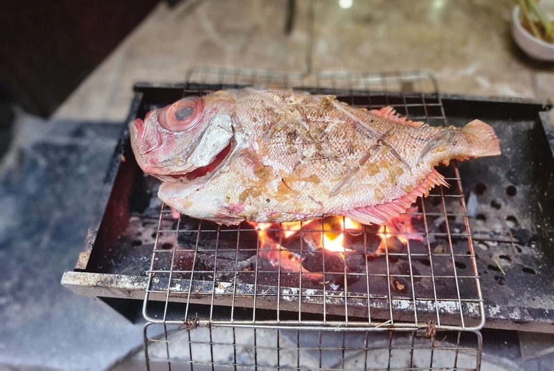 Cá sơn thóc ảnh 4