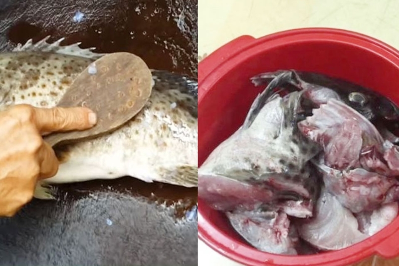 Sơ chế cá song và ướp cùng gia vị trước khi chế biến món ăn.