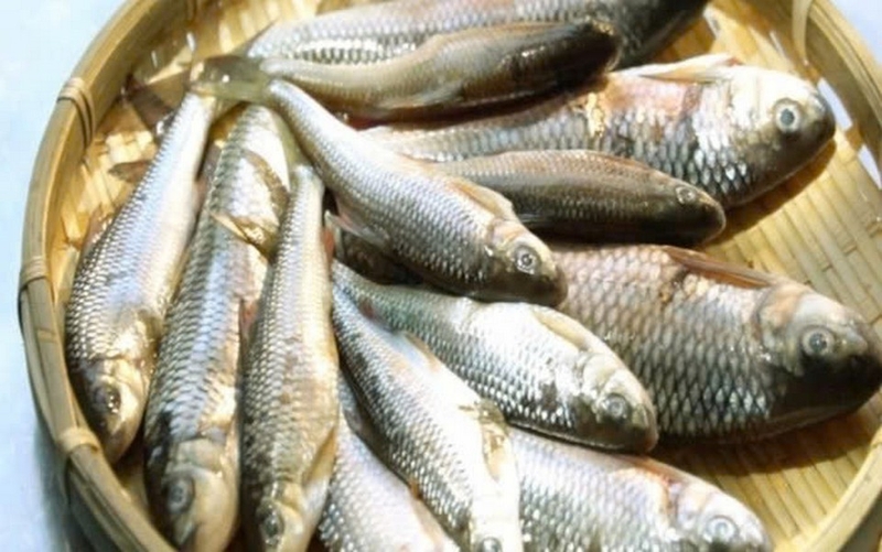 Cá suối chiên giòn ảnh 1