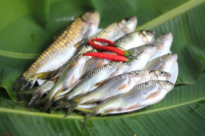 Cá suối chiên giòn ảnh 2