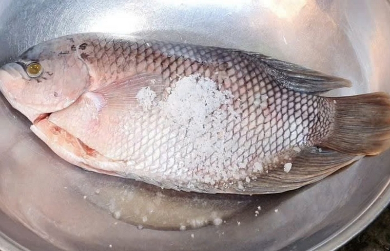 cá tai tượng hấp hành ảnh 3