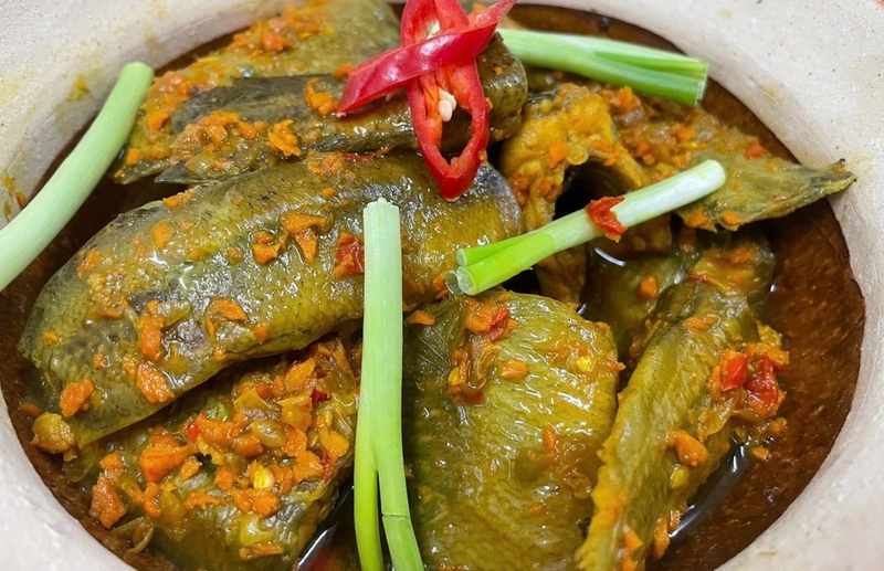 Cá chạch quế ảnh 3
