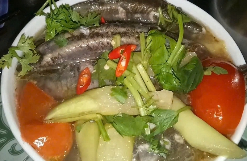 Cá chạch quế ảnh 4