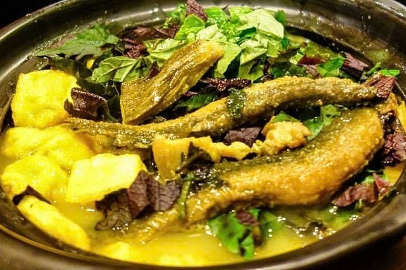 Cá chạch quế ảnh 5