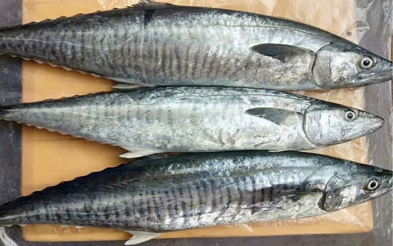 cá thu kho riềng ảnh 1