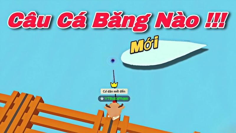 Nơi có nhiều loài cá quý hiếm