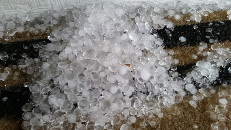 Mưa đá nhỏ (dạng hạt băng)