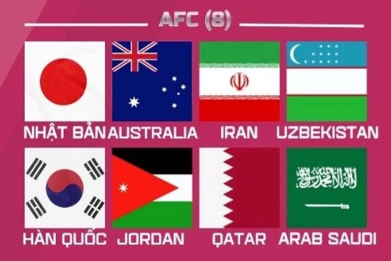 Các đội châu Á dự World Cup 2026 16
