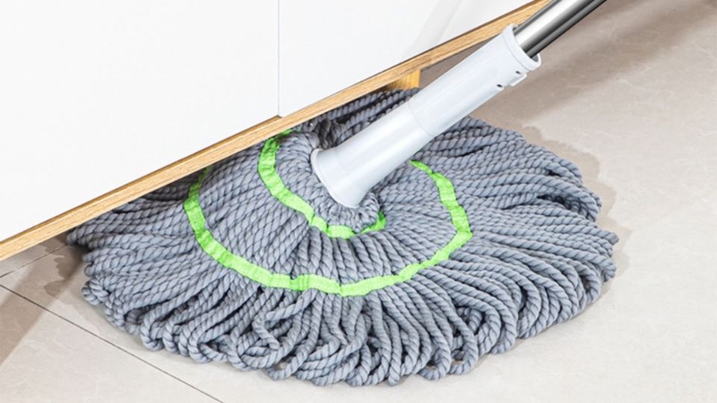 Các loại cây lau nhà 1