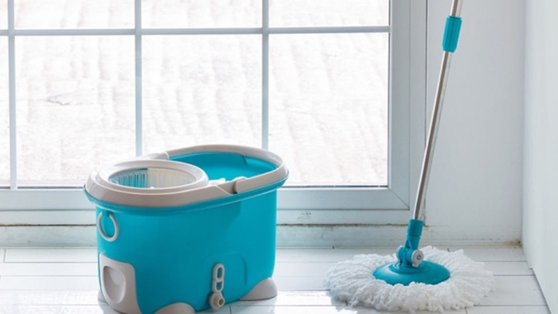 Các loại cây lau nhà 3