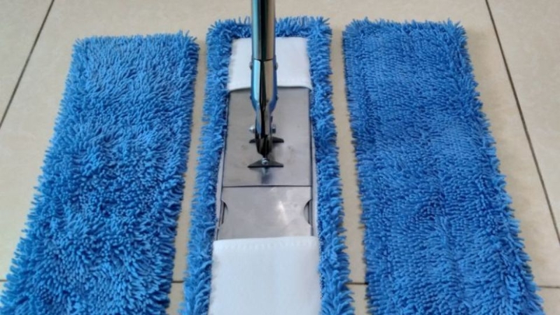 Các loại cây lau nhà 4