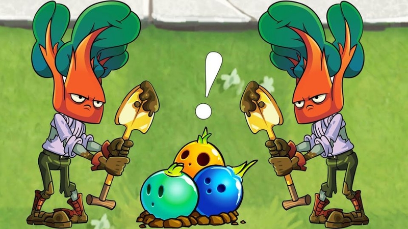 Chard Guard