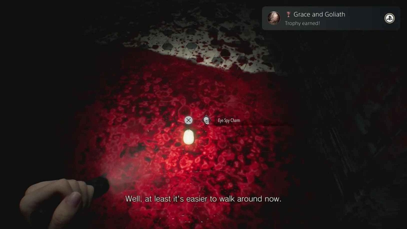 các loại charm trong Resident Evil Requiem hình 1