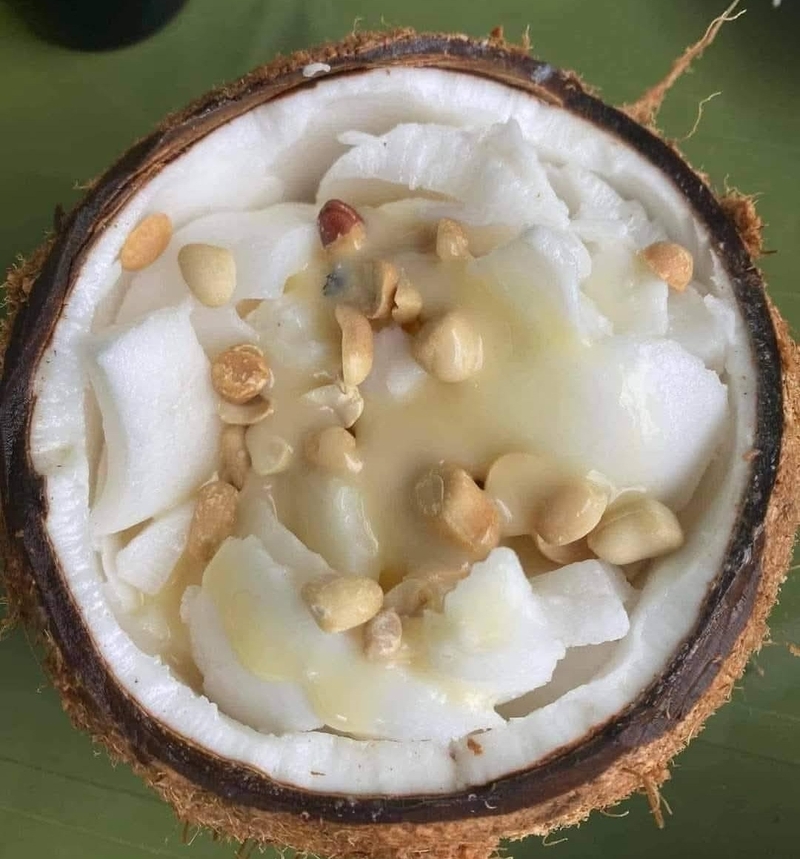 các loại dừa 9