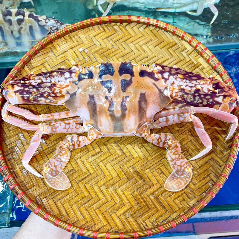 các loại ghẹ ảnh 5