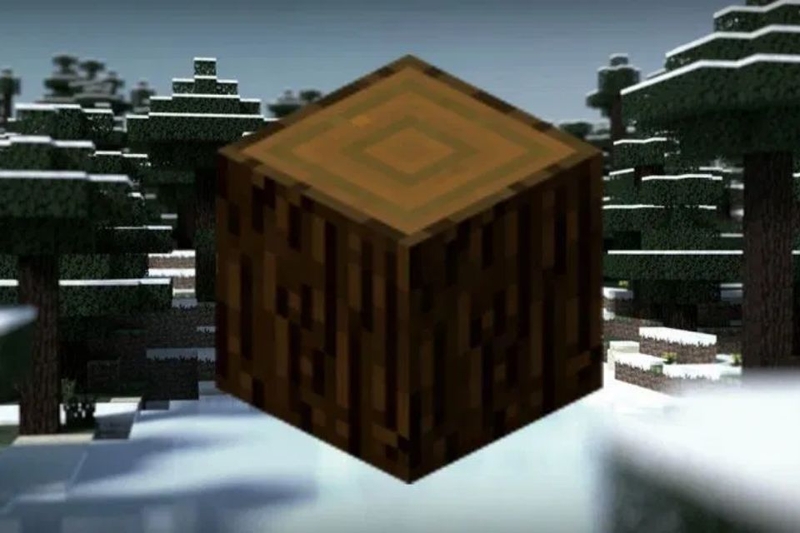 các loại gỗ trong minecraft (ảnh 4)