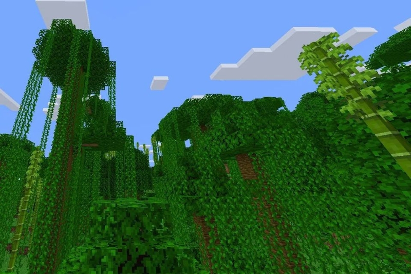 các loại gỗ trong minecraft (ảnh 5)