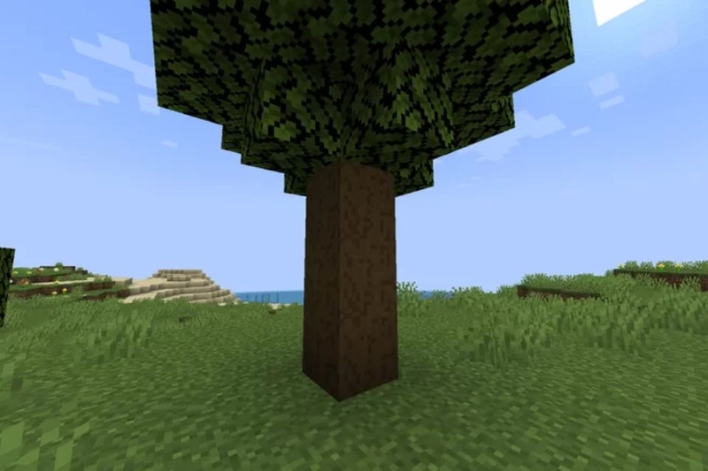 các loại gỗ trong minecraft (ảnh 6)