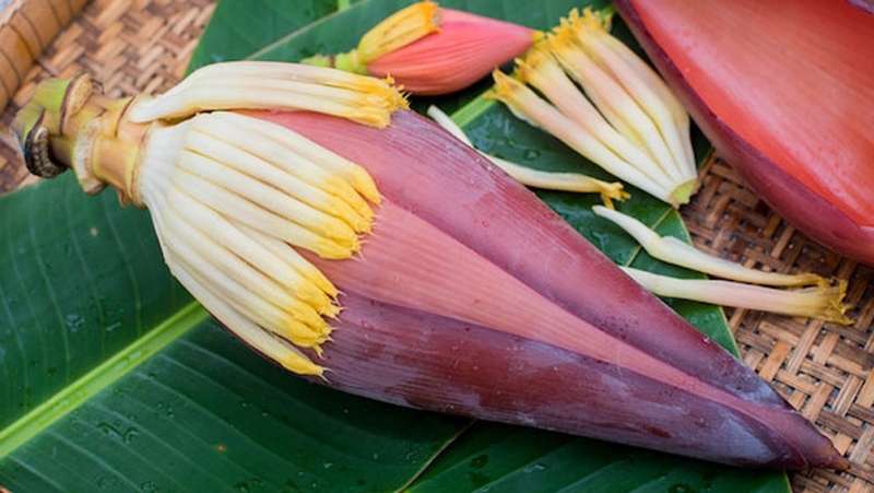 các loại hoa ăn được 3