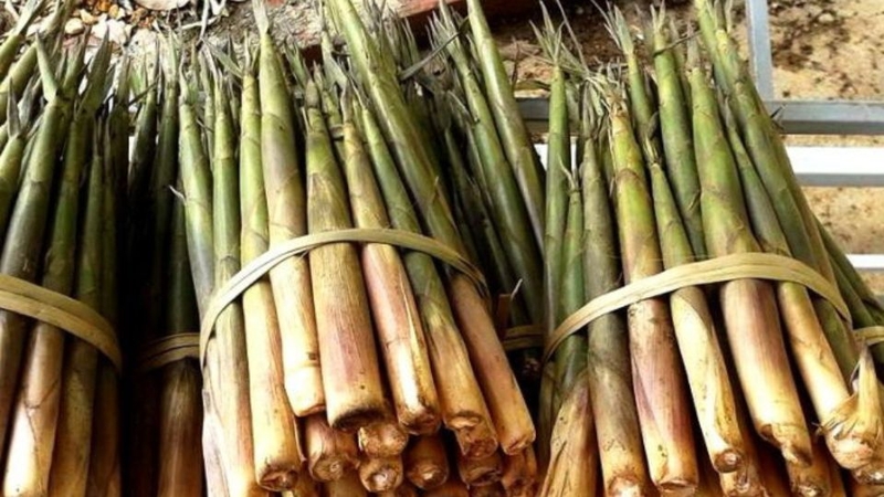 Măng sặt