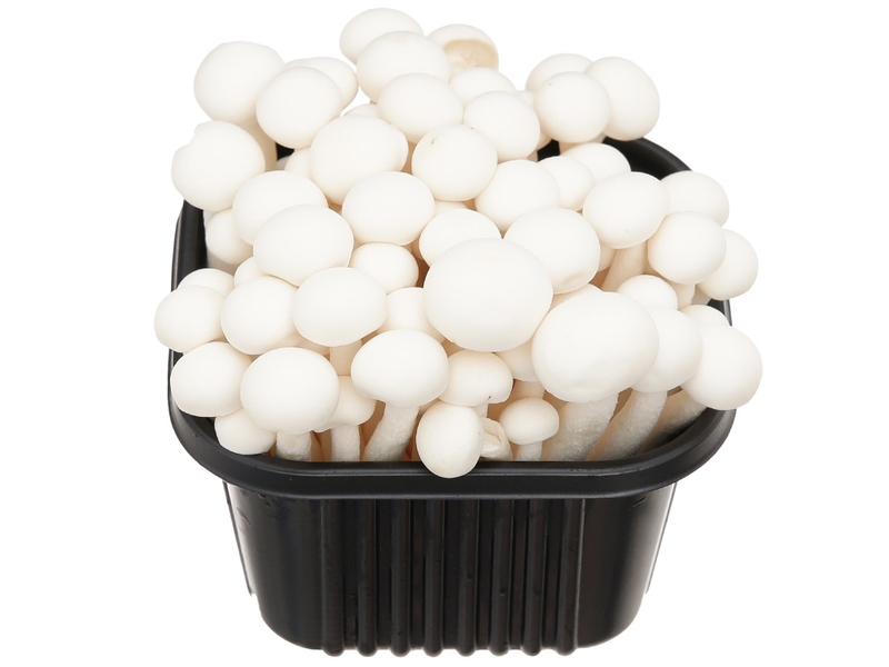 các loại nấm ăn lẩu ảnh 9