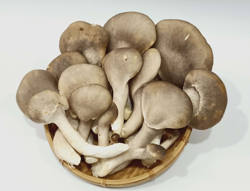 các loại nấm ăn lẩu ảnh 15