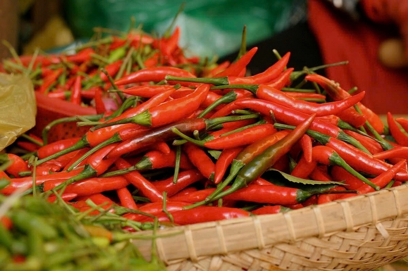 các loại ớt ảnh 6