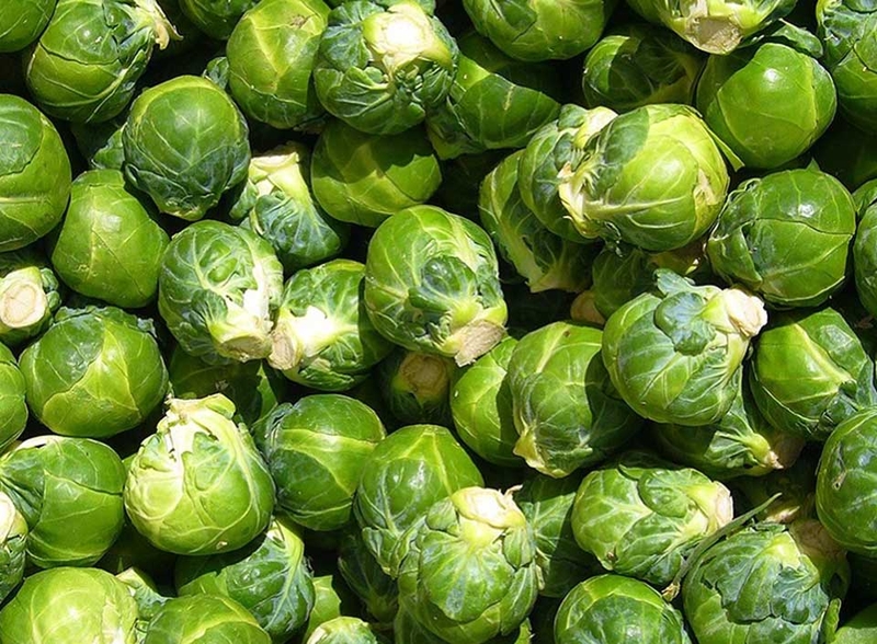 Các loại rau cải - 05