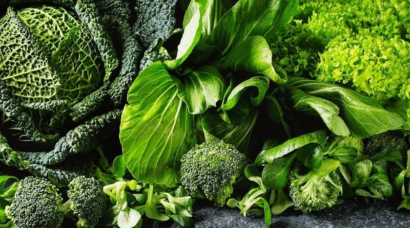 Các loại rau cải - 02