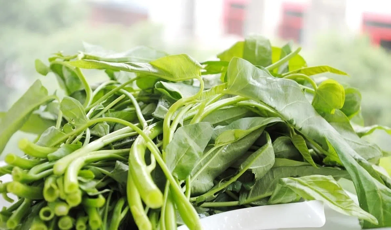 các loại rau xanh 7