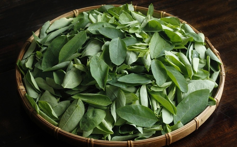 các loại rau xanh 8