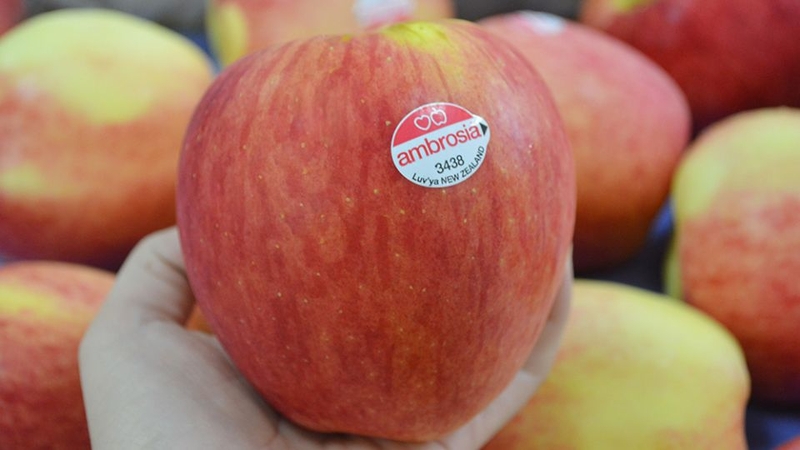 Táo Ambrosia