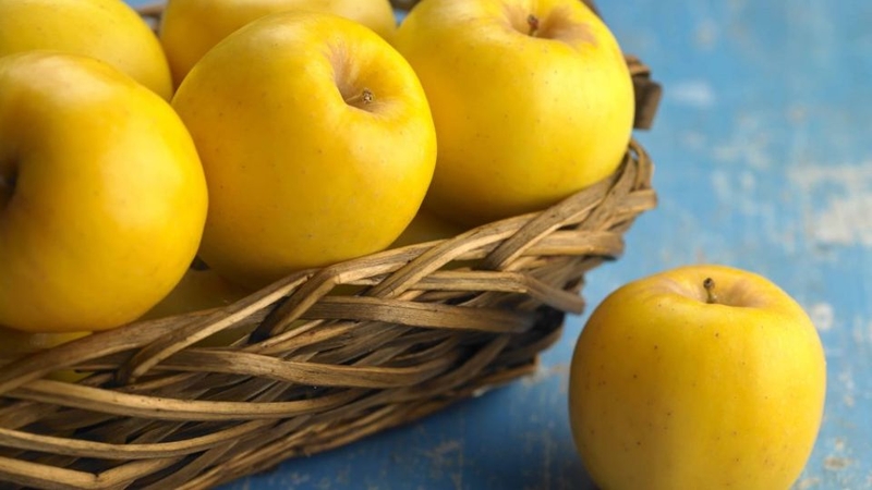 Táo Golden Delicious