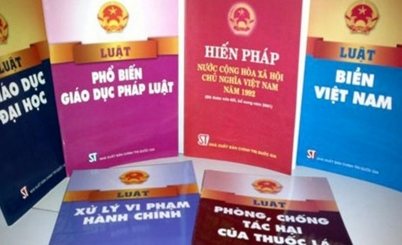 các loại văn bản quy phạm pháp luật ảnh 1