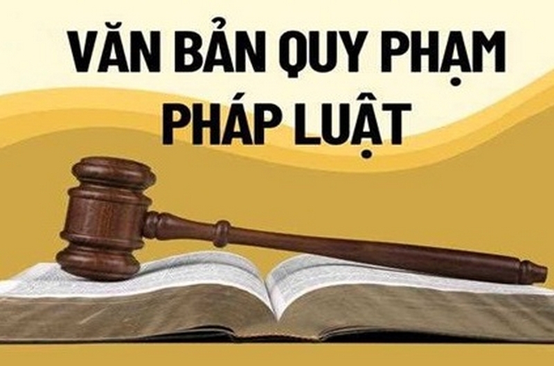 các loại văn bản quy phạm pháp luật ảnh 2