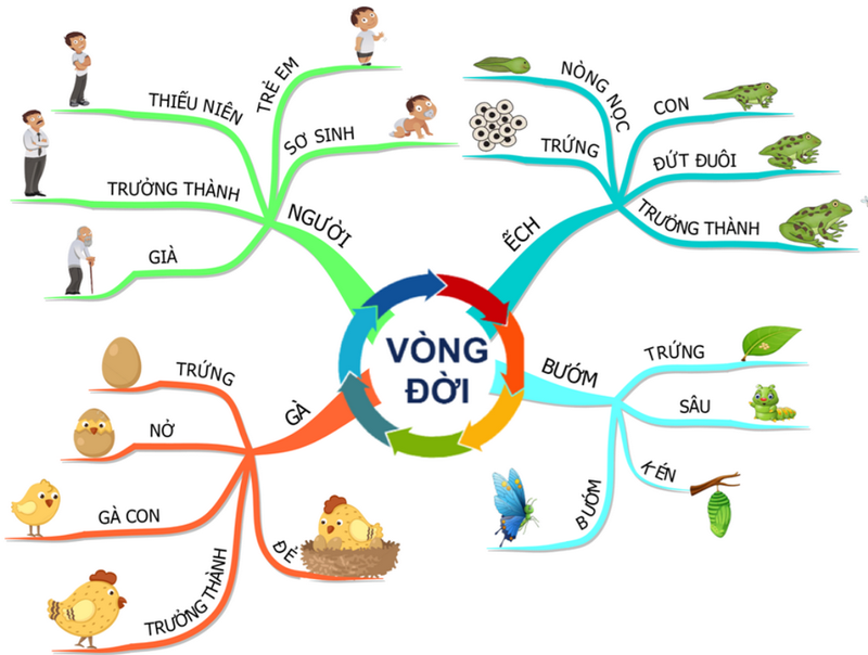 Cải thiện khả năng nhớ là một lợi ích