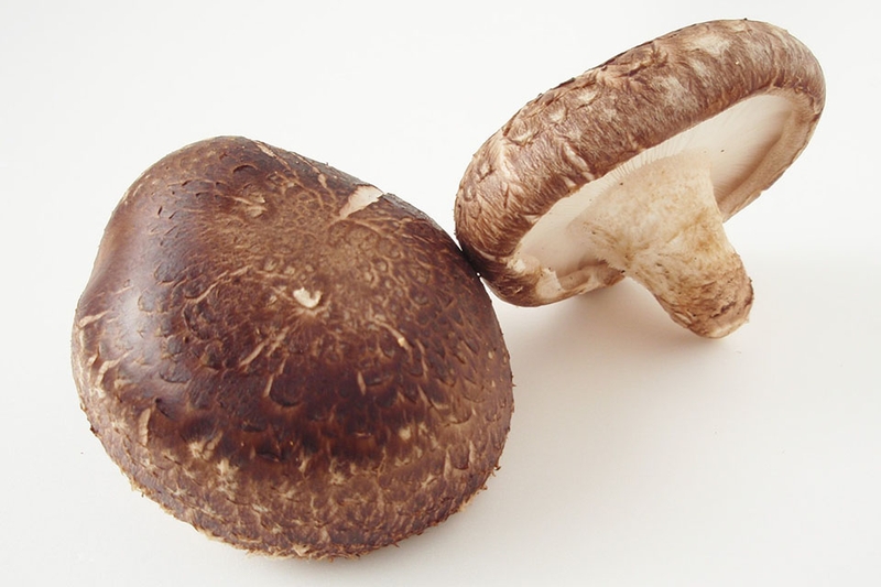 các món ăn từ nấm (hình 2)
