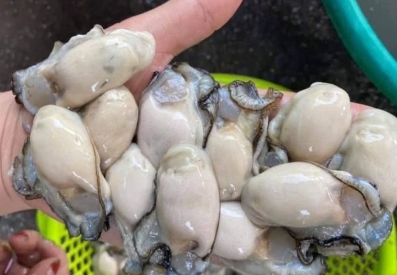 hau sua lam banh ran