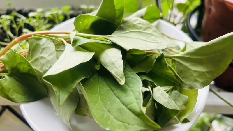 Các món rau luộc 12