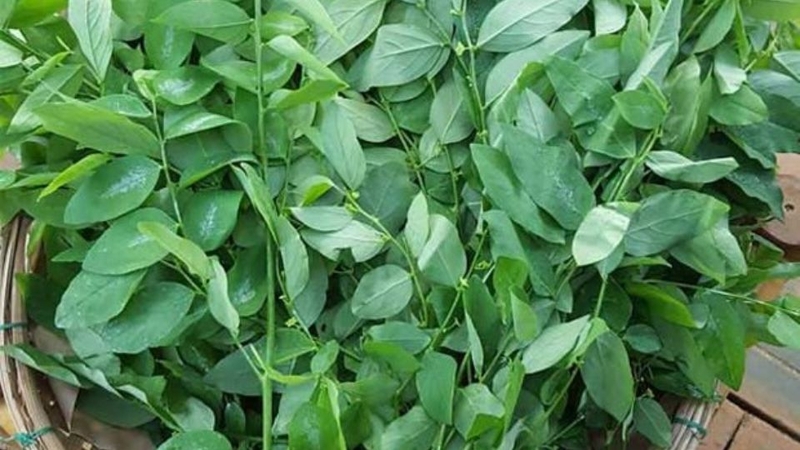 Các món rau luộc 13