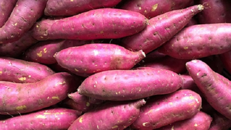 Các món rau luộc 16