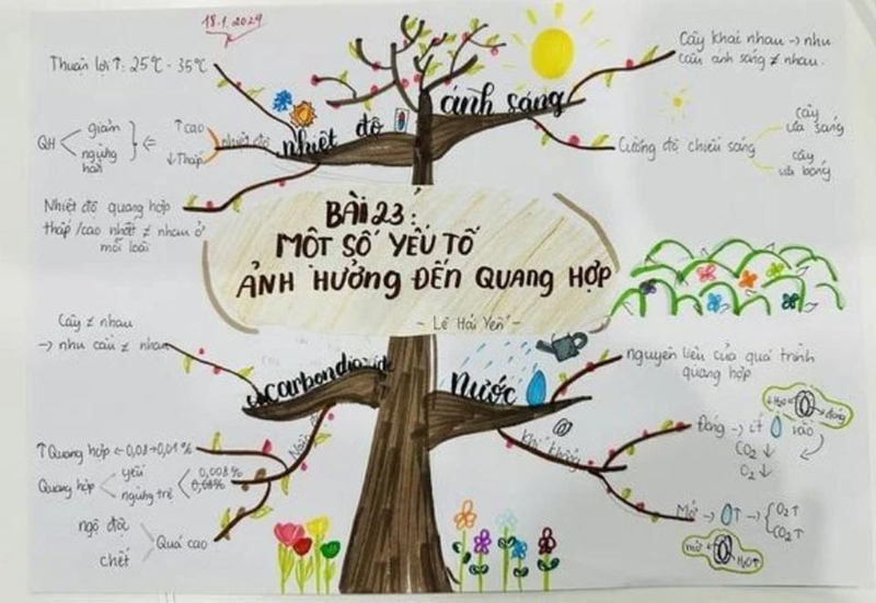 Các môn thi vào lớp 10 năm 2025-2026 - 05