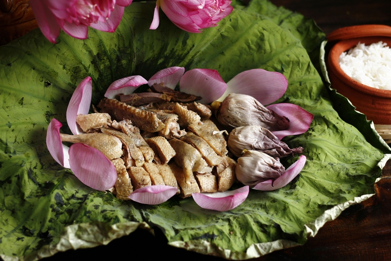 vit hap hoa sen