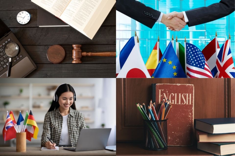 các ngành đại học ngoại thương (ảnh 5)