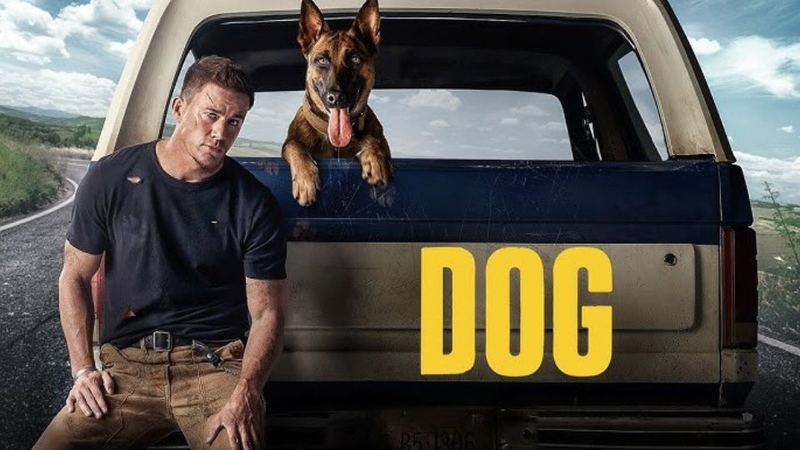 Chú chó – Dog (2022)