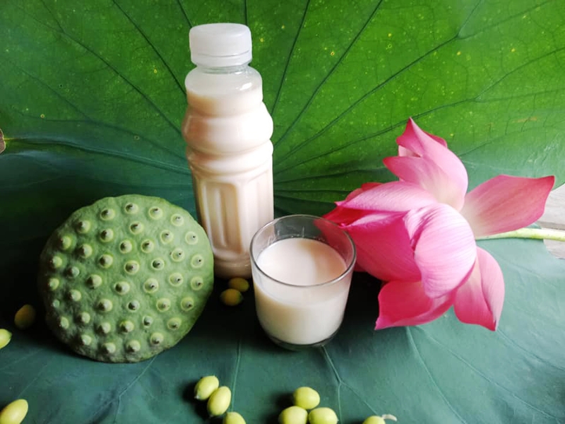 cách ăn hạt sen tươi 4