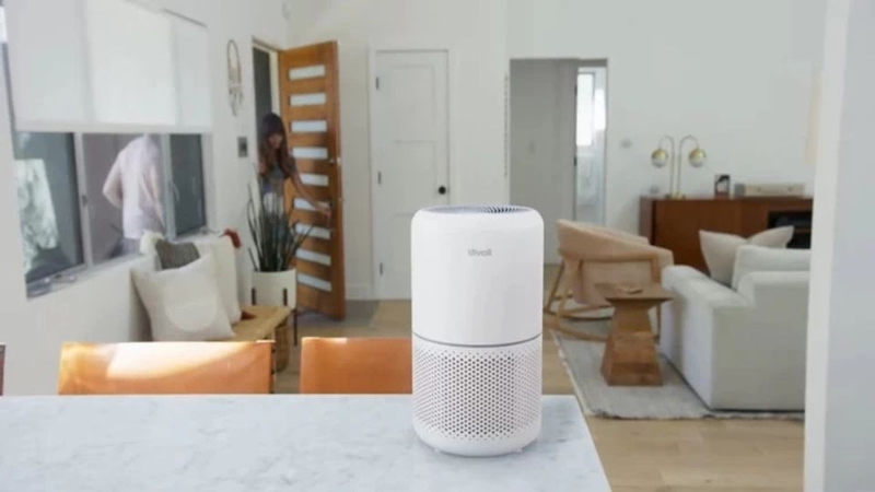 Độ ẩm cao có thể gây hại cho bộ lọc của máy lọc không khí
